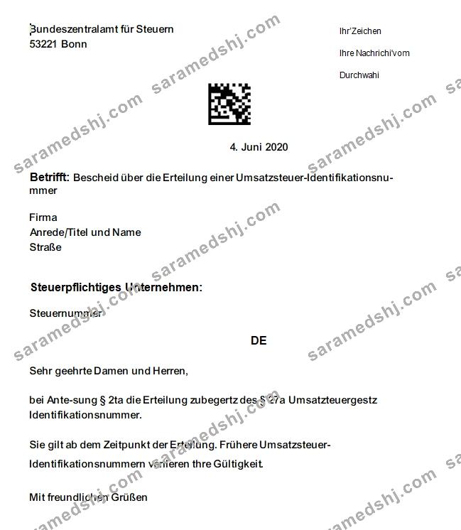 Philippines Tonik Digital Bank Inc. consolidated statement, 2 pages, SCR